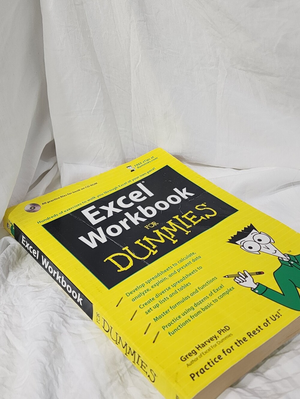 Excel Workbook For Dummies - Yellow Paperback Workbook